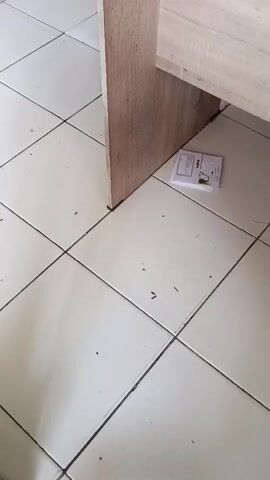 The video opens with a shot of the floor tiles and the bottom of a wooden table. A small white object, possibly a box, is on the floor near the table leg. The camera then pans up to show a man behind a wooden counter. He is wearing a red and white t-shirt with the words "The Black" written on it in large orange lettering. The man is writing on a yellow notepad with a black pen. To his left is a clear plastic container with a red lid, containing some small items. To his right, a digital scale with a green display is visible. In front of the man, on the counter, is a laminated document with blue and white text, appearing to be a price list or menu. The man continues to write on the notepad throughout the segment.