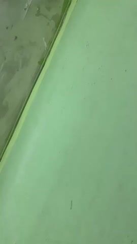The video shows a corner of a room with light green walls. The ceiling appears to be damaged with peeling paint. There are several framed pictures hanging on the wall. The camera is angled upwards, focusing on the junction of the wall and ceiling.