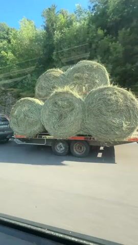 A gray SUV is being filmed from another vehicle as it travels down a road. The SUV is towing a flatbed trailer loaded with several large, round bales of hay. The trailer has dual axles and is attached to the SUV by a hitch. The bales of hay are stacked on top of each other and are wrapped in green netting. The road is paved and appears to be a highway or a similar type of road. The surrounding environment is characterized by lush green trees and a clear blue sky, suggesting a rural or natural setting. The video is shot from a moving vehicle, as indicated by the slight motion blur and the perspective.