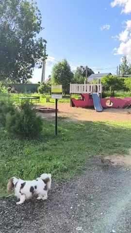 The video shows an outdoor playground on a sunny day with a clear blue sky and some clouds. In the foreground, on the left, a small dog with brown and white markings is standing on a gravel path, facing towards the playground. The playground has a sandpit, a red boat-shaped play structure with a slide, a swing set, and some other colorful play equipment. Green grass and trees surround the playground, and houses and other buildings can be seen in the background. The camera pans slowly to the right, showing more of the playground and the surrounding environment.