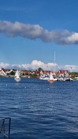 The video shows a body of water with several sailboats on it. The sailboats are of various sizes and colors. In the background, there is a town with houses and buildings, as well as trees and a windmill. The sky is blue with some clouds. The water appears to be calm and the weather seems pleasant. There are also a few birds on the water. The camera is positioned on a boat looking towards the shore.