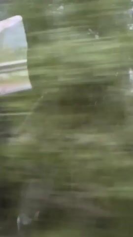 The video shows a blurry view from inside a vehicle, looking out a window. The motion blur indicates the vehicle is moving. Trees and greenery are visible outside, suggesting a rural or natural environment. There are also reflections on the window, making it difficult to discern specific details. The lighting appears to be overcast or diffused.