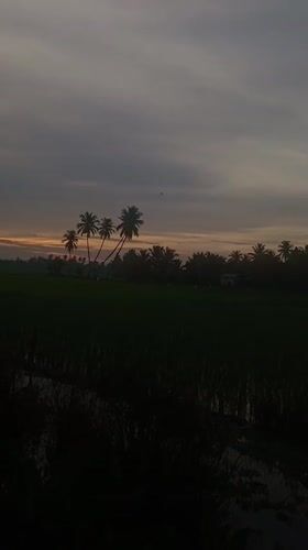 Keudejungkagajah, Indonesia