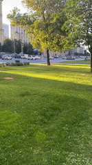Sunny city park and street scene with a cheerful sign-off