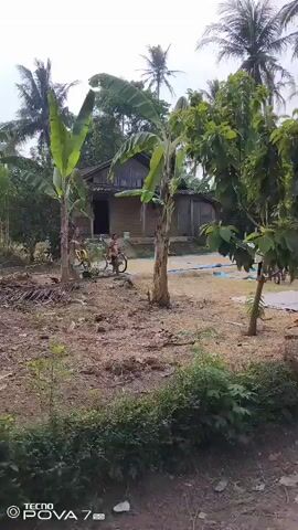 A rural scene with a dirt yard and a small house in the background. Several banana trees are visible, as well as other foliage. In the yard, a few children are gathered around two bicycles. One child is sitting on a bicycle. Another child is standing next to it, and two other children are nearby. The sky is cloudy. A watermark at the bottom of the video reads "TECNO POVA 7".