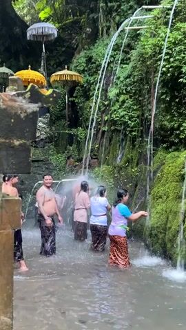 The video shows a group of people participating in a water ritual in a lush, green environment. Several individuals, dressed in traditional sarongs, stand in a shallow pool of water. Water streams down a moss-covered rock face, creating a natural shower. The people appear to be bathing or cleansing themselves in the water. In the background, there are large, ornate umbrellas, suggesting a spiritual or cultural significance to the location. The overall atmosphere is serene and natural.
