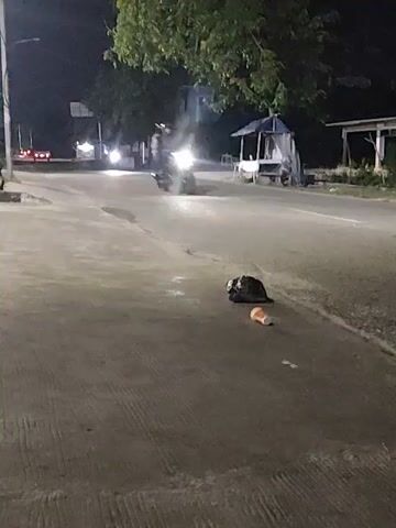 The video captures a nighttime street scene. In the foreground, on the paved sidewalk, is a black garbage bag and an orange plastic cup. The street is visible in the background, with a motorcycle moving from left to right, its headlights illuminating the road. Further down the road, other vehicles are visible, their lights suggesting traffic. A small, open-sided structure, possibly a stall, stands to the right of the road. Trees with foliage are silhouetted against the night sky. The lighting suggests streetlights and vehicle headlights are the primary sources of illumination, creating shadows and highlights on the wet pavement.