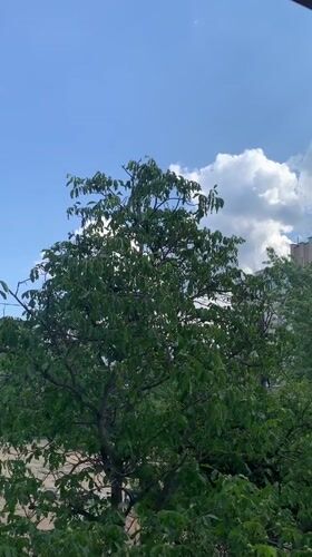Kaniv, Ukraine