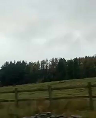 The video shows a view from a moving vehicle, likely a car, driving into the UK. The scenery consists of green fields separated by a wooden fence, with a line of trees in the background under a cloudy sky. The camera seems to be positioned low, giving a perspective that emphasizes the landscape.  There are no people visible in the shot.