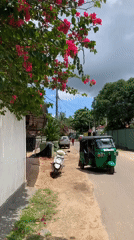 Bougainvillea, scooters, and street life in Kabalana