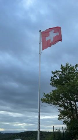 A Swiss flag flutters on a flagpole against a cloudy sky. To the right, the upper branches of a green tree are visible. In the background, a hazy landscape with trees and a fence can be seen. The video shows a static shot of the flag.