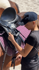 Horse riding lessons and training activities at equestrian facility