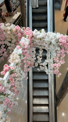 Shoppers document flower-decorated escalator at Buenos Aires mall