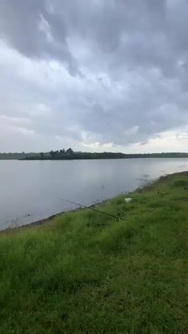 The video presents a wide, static shot of a lake under a cloudy sky. The lake's surface is calm and mostly grey, reflecting the overcast sky. The opposite shore is visible in the distance, featuring a line of trees and slightly elevated land. In the foreground, a grassy bank slopes down to the water's edge. Three fishing rods are placed on the grass, their tips pointing towards the lake. The grass is green and slightly overgrown. There are no visible people or animals in the frame. The overall atmosphere is serene and tranquil.