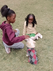 Two dogs, a grassy lawn, and an afternoon in Nairobi