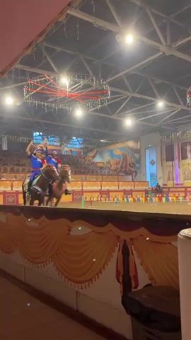 This media file captures a performance likely taking place indoors, possibly in an arena or circus tent. The setting appears to be elaborate, with decorative backdrops resembling classical architecture, featuring columns and arches. Hanging from the ceiling are festive circular light installations with red and green lights, suggesting an evening or nighttime event. Two horses, adorned with decorative bridles and blankets, are being ridden by individuals dressed in colorful, possibly theatrical costumes. One rider, standing on the horse's back, has their arm raised in a celebratory gesture. Another rider is seated, also in costume. The overall atmosphere suggests a lively performance, perhaps a circus act or a historical reenactment. The lighting is artificial, casting a warm glow over the scene. There is no visible text. The general impression is one of entertainment and spectacle.