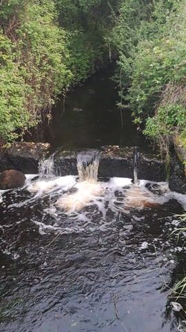 This is a still image, likely a frame from a video, showing a small waterfall or cascade in a natural setting. The water is dark and appears to be flowing over rocks or a small dam. There is foamy white water where the water is falling. Lush green foliage, likely trees and bushes, line the banks of the water on the left side of the frame. The scene appears to be outdoors, in a wooded or natural area, possibly a stream or small river. The lighting suggests it is daytime, with overcast or diffused light. There is no visible text in the image. The overall impression is one of a tranquil, natural environment. While the image is provided with a location context of Castlebar, Ireland, there are no specific visual cues within the image itself that would definitively confirm this location.