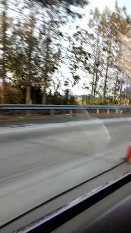 The video is a blurry, first-person perspective shot taken from inside a moving vehicle, likely a car. The scene captured is the side of a highway. On the left side of the road, there is a guardrail and a line of trees. The trees appear to be bare or have sparse foliage, suggesting it might be autumn or winter. The road surface is asphalt, with visible lane markings. On the right side of the road, a traffic cone is partially visible. The sky is overcast and the lighting suggests it is daytime. The blurriness indicates significant movement.