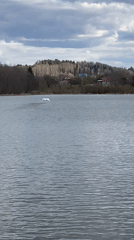 Spring lakeside visit documented in rural Russian village