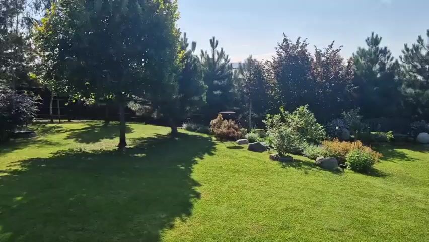The video shows a well-maintained backyard with a lush green lawn. Several trees are present, including pine trees, a birch tree, and a tree with dark red foliage. There are also bushes and some large rocks arranged in a decorative manner. The sun is shining, casting shadows on the grass. In the background, a house and a wooden fence are visible. A small orange ball is on the patio in the lower right corner of the frame. The camera pans slowly across the scene.