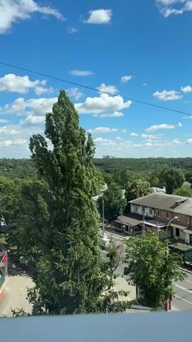 This media file presents a slightly overcast daytime view of a suburban or semi-rural landscape, likely in Kharkiv, Ukraine. The foreground is dominated by a tall, slender evergreen tree with dense foliage, leaning slightly to the left. To its right, a few buildings are visible, including a two-story structure with a red-tiled roof and white siding. A street runs horizontally across the middle ground, with some parked vehicles and a few scattered trees lining its edge. In the background, a dense forest stretches towards the horizon, beneath a bright blue sky dotted with fluffy white clouds. A faint industrial structure or tower is visible in the far distance. The lighting suggests it is daytime, possibly late morning or early afternoon. The overall impression is one of a peaceful, green environment. No people or specific events are discernible. No visible text is present.