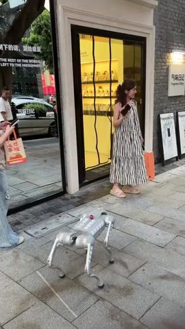 The video shows a robotic dog with the words “Qingpu Welcome” on its side walking on a sidewalk outside a shop in what appears to be China. A woman in a striped dress stands in front of the shop door, holding a cell phone and a shopping bag. She smiles as she watches the robot move. The robot dog is grey and has a rectangular body with four curved legs. In the background, people walk along the sidewalk and cars pass by on the street. The shop has glass doors and windows, and there are signs in English and Chinese outside. The overall setting appears to be an upscale shopping area.