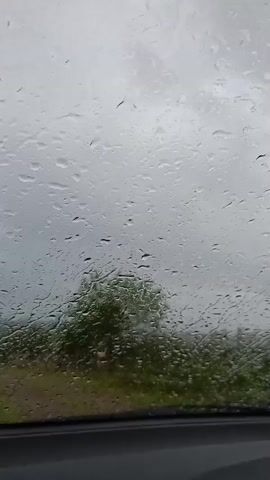 The video shows a close-up view of raindrops on a car windshield. Through the windshield, a blurry green landscape with trees and a cloudy sky can be seen. The scene suggests that it is raining outside, and the camera is positioned inside a vehicle. The bottom of the frame shows the dark interior of the car, framing the view through the wet glass.