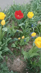 Spring day documented across parks and riverfront in Chaikovsky, Russia