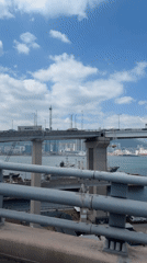 Bridge view captured showing Busan cityscape and waterway