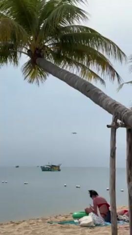 The video shows a beach scene with a palm tree leaning toward the ocean. A person is sitting on the sand under the palm tree, and a boat is visible on the water in the background. An airplane is descending in the sky toward the viewer.