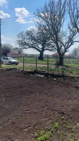 The video shows a field of tilled dark brown soil under a clear blue sky with sparse clouds. In the background, there are several houses with red tile roofs, separated by fences and vegetation. A white car is parked on a gravel road near one of the buildings. A utility pole with wires stands in the left foreground. A large tree with bare branches is visible to the right of the frame. The video pans slightly, revealing more of the cultivated soil and the surrounding residential landscape.