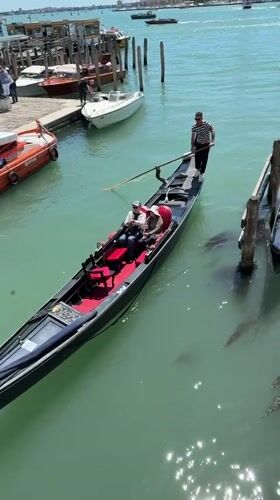 Gondolas active and docked in Venice canals