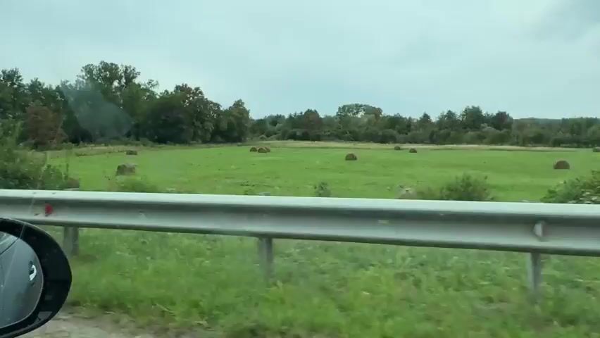 The video shows a view from inside a car driving on a highway. The camera is positioned to capture the road ahead and the surrounding landscape, which consists of green fields, trees, and a cloudy sky. A silver guardrail runs along the side of the road. In the distance, there are several hay bales in a field. The interior of the car is visible, including the dashboard and a side mirror. In some shots, a woman is seen driving the car and holding a phone. The video appears to be filmed during daylight hours.