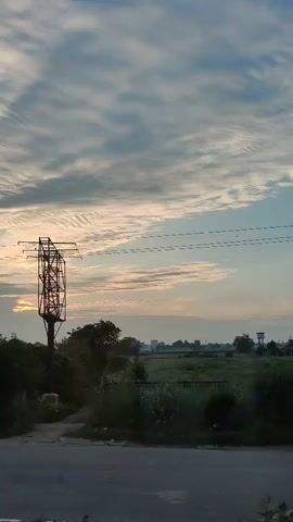 The video displays a landscape scene, likely during sunrise or sunset. The sky is filled with clouds exhibiting a textured pattern, possibly cirrus clouds. Sunlight is visible low on the horizon, casting a warm glow. Below the sky, there is a stretch of green fields and scattered trees. A solitary utility pole with wires runs across the frame. In the foreground, a dark road or path is visible, with some vegetation along its edge. The overall impression is of a rural or semi-rural environment. There are no people or animals visible in the video. The camera appears to be moving, panning from left to right, as evidenced by the shifting perspective of the trees and landscape.