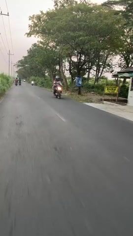 The video shows a paved road with several motorcycles driving on it. The road is lined with trees and vegetation on the right side. There are also utility poles visible on the left side of the road. The lighting suggests it is either early morning or late afternoon. The perspective is from a moving vehicle, likely another motorcycle, as indicated by the motion blur and the angle of the road. The environment appears to be rural or semi-rural.