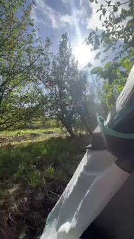 The camera looks out from inside of a tent on a sunny day. The trees outside are bright green and there is a table and chairs visible in the distance. The inside of the tent is grey and teal.
