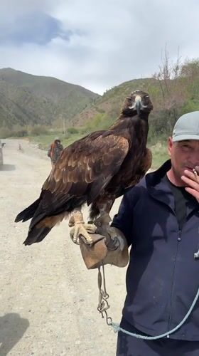 Traditional eagle handler photographed in rural Kyrgyzstan village