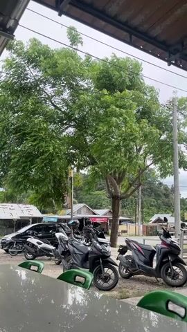 A medium shot shows a row of parked motorcycles and cars next to a large tree. The motorcycles are in the foreground, with two cars parked behind them. A large tree with green leaves is in the center of the frame, and there are buildings and a hill in the background. The sky is cloudy.