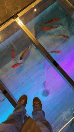 Diners documented meal at Chinese restaurant in Larnaca