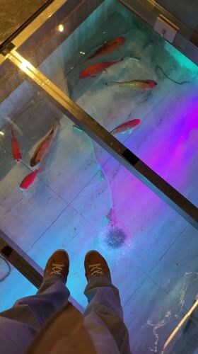 Diners documented meal at Chinese restaurant in Larnaca