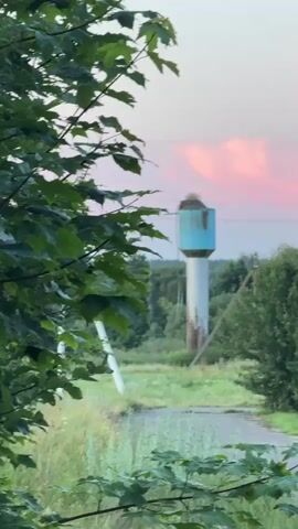 This media file captures a rural scene in the Nyoman rural council, Belarus, during what appears to be dusk or dawn. The central focus is a tall, weathered water tower with a light blue tank at the top. A large, untidy nest, likely belonging to storks, is situated precariously on the edge of the tank, suggesting a long-established presence of these birds.

The tower stands in a grassy, overgrown area, hinting at a less populated or abandoned location. A dilapidated road or path winds through the foreground, partially obscured by the lush green foliage of trees and plants that frame the composition. In the background, a dense forest stretches towards the horizon, adding to the rural and slightly wild atmosphere.

The sky above is painted with soft hues of pink and purple, characteristic of twilight, with wispy clouds adding depth and drama. The overall mood is serene and contemplative, evoking a sense of peaceful solitude and the enduring presence of nature in a man-made landscape. There is no visible text in the media file.