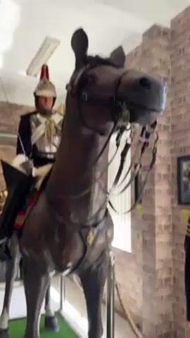 The video showcases a collection of exhibits, likely within a museum or historical display. The primary focus is a detailed horse statue complete with a rider dressed in elaborate military attire. The horse is a dark brown color, and the rider is adorned in a silver breastplate, white shoulder pieces, and a distinctive helmet with a red plume. The horse stands with intricate tack and bridle. Alongside the horse, there is also a mannequin dressed in what appears to be a British police uniform, complete with a helmet and a silver chain. The backdrop includes a brick wall and a window with blinds. The lighting is bright and even. The camera pans around the exhibits, providing a close-up view of each item.