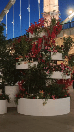 Moscow riverfront at night, lights and flowers in summer