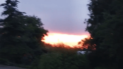 Rural evening wildlife and sunset observations captured