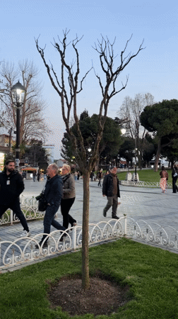 Blue Mosque glows orange against Istanbul twilight sky