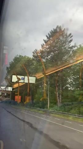 A view from inside a vehicle shows a wet road and trees outside the window. There are billboards visible with images and text. The sky appears overcast. The motion blur suggests the vehicle is moving.