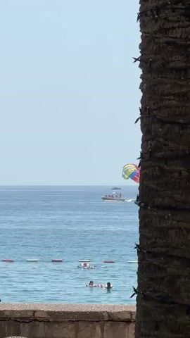 A boat is pulling a parasailer across the blue ocean under a clear sky. Several people are swimming and floating on rafts in the water closer to the shore. A palm tree trunk is visible on the right side of the frame.