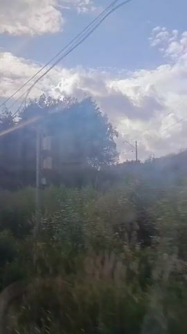 The video shows a view from inside a train moving through a wooded area. The sky is partly cloudy with the sun shining through, casting lens flares on the window. Trees and green foliage are visible outside the window. There are power lines running across the sky. The camera is positioned to capture the landscape passing by.