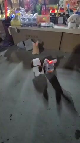 The video shows a nighttime outdoor market stall. In the foreground, three plush toys are arranged on a concrete surface. A white and brown dog toy is in the center-left, a gray rabbit toy with red LED eyes is to its right, and a yellow bunny toy with red LED eyes is further back and to the left of the dog toy. The toys cast shadows on the ground. Behind the toys, a table displays various items, including small lights, fans, and other novelty products. The background is blurred, but appears to be a busy market with people and more stalls. The lighting suggests it is evening or night.