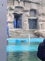 Morning zoo visit documented in Izhevsk, Russia